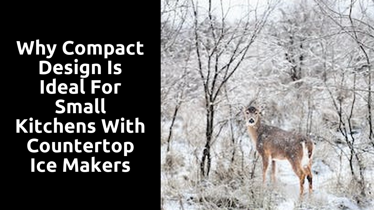 Why compact design is ideal for small kitchens with countertop ice makers