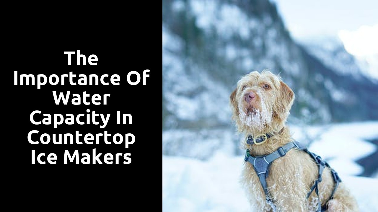The Importance of Water Capacity in Countertop Ice Makers