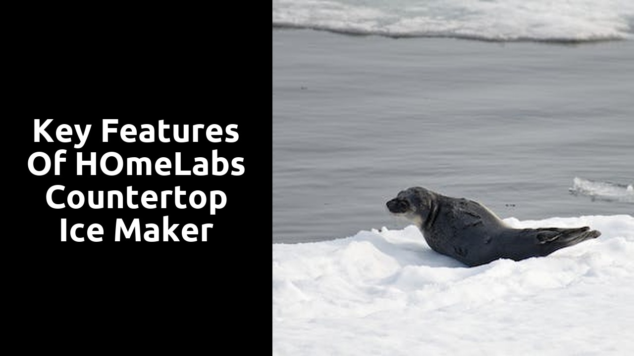 Key features of hOmeLabs countertop ice maker
