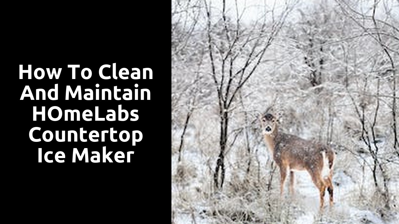 How to clean and maintain hOmeLabs countertop ice maker