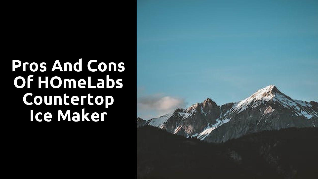 Pros and cons of hOmeLabs countertop ice maker