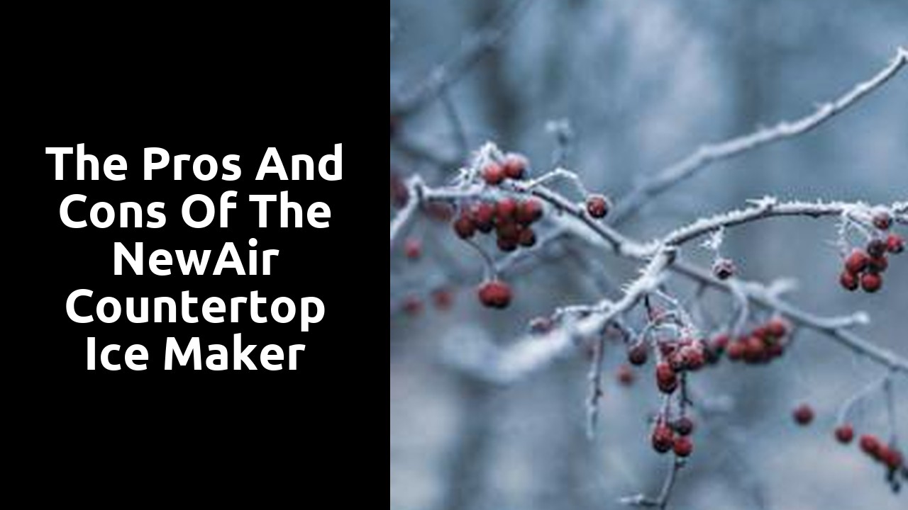 The Pros and Cons of the NewAir Countertop Ice Maker