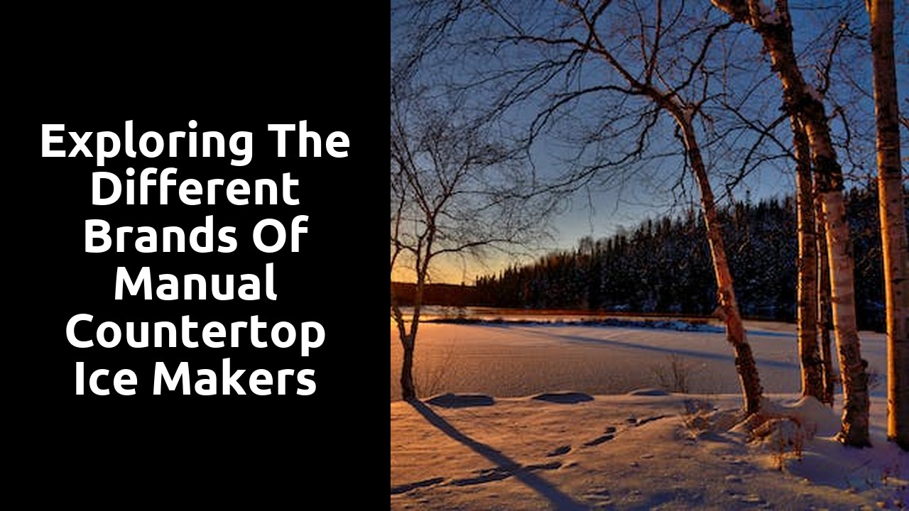 Exploring the Different Brands of Manual Countertop Ice Makers