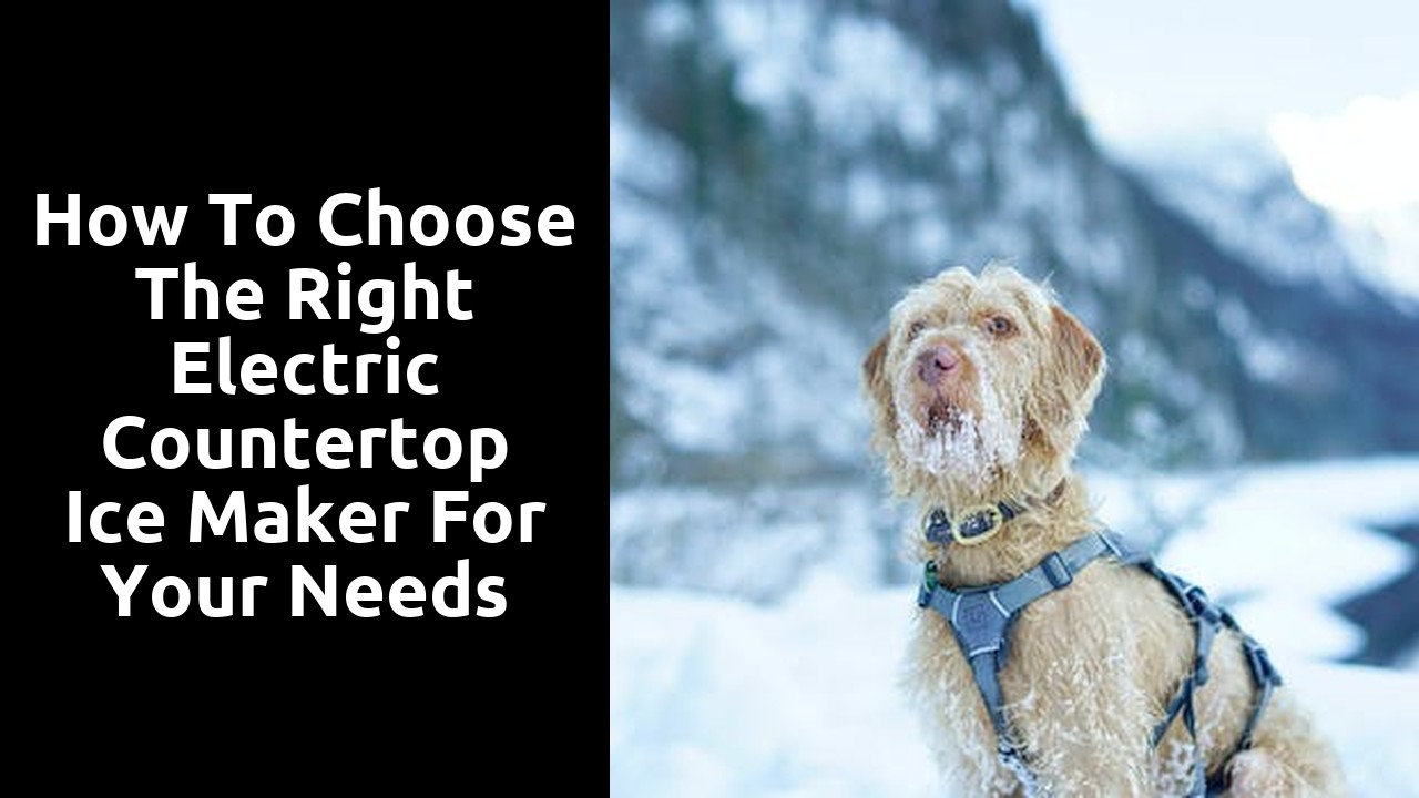 How to Choose the Right Electric Countertop Ice Maker for Your Needs