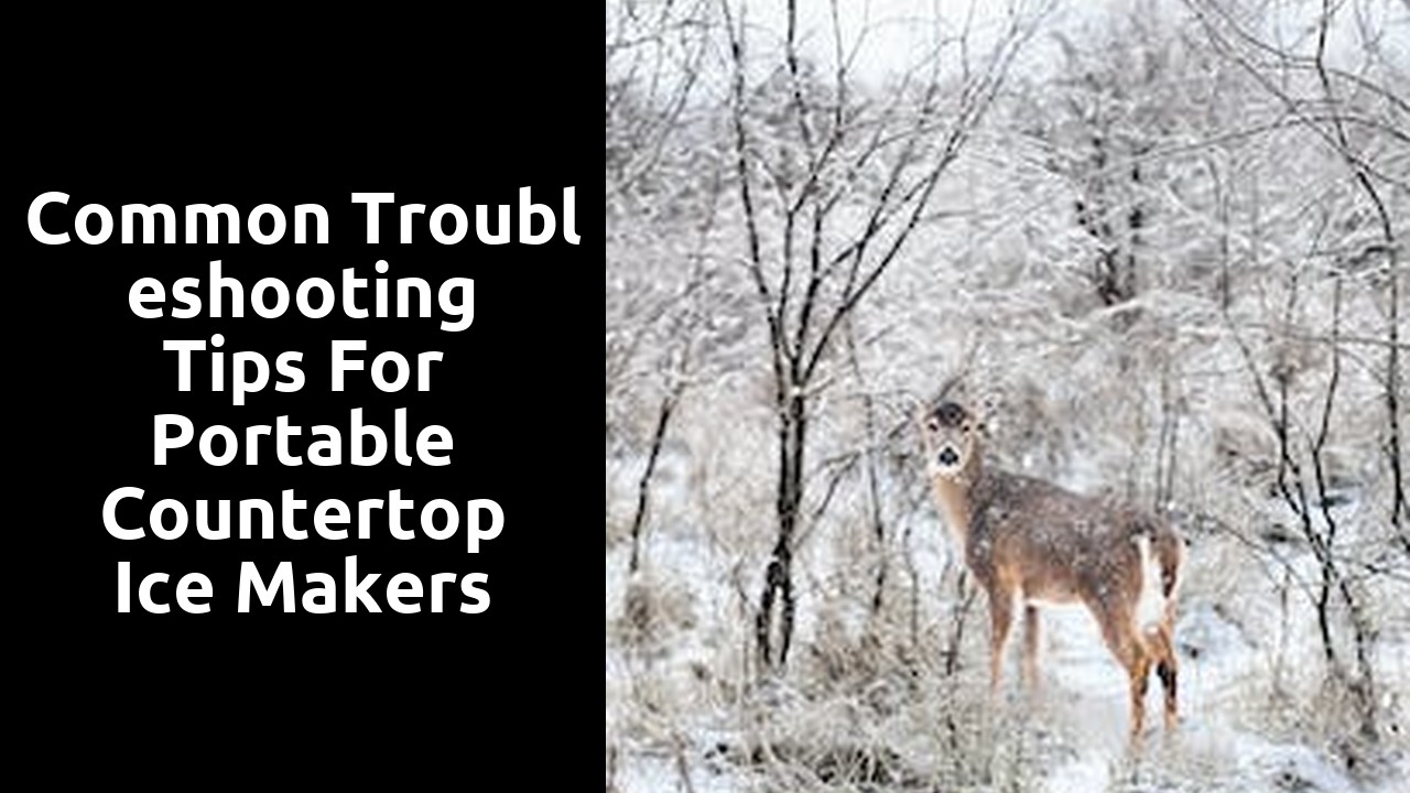 Common Troubleshooting Tips for Portable Countertop Ice Makers