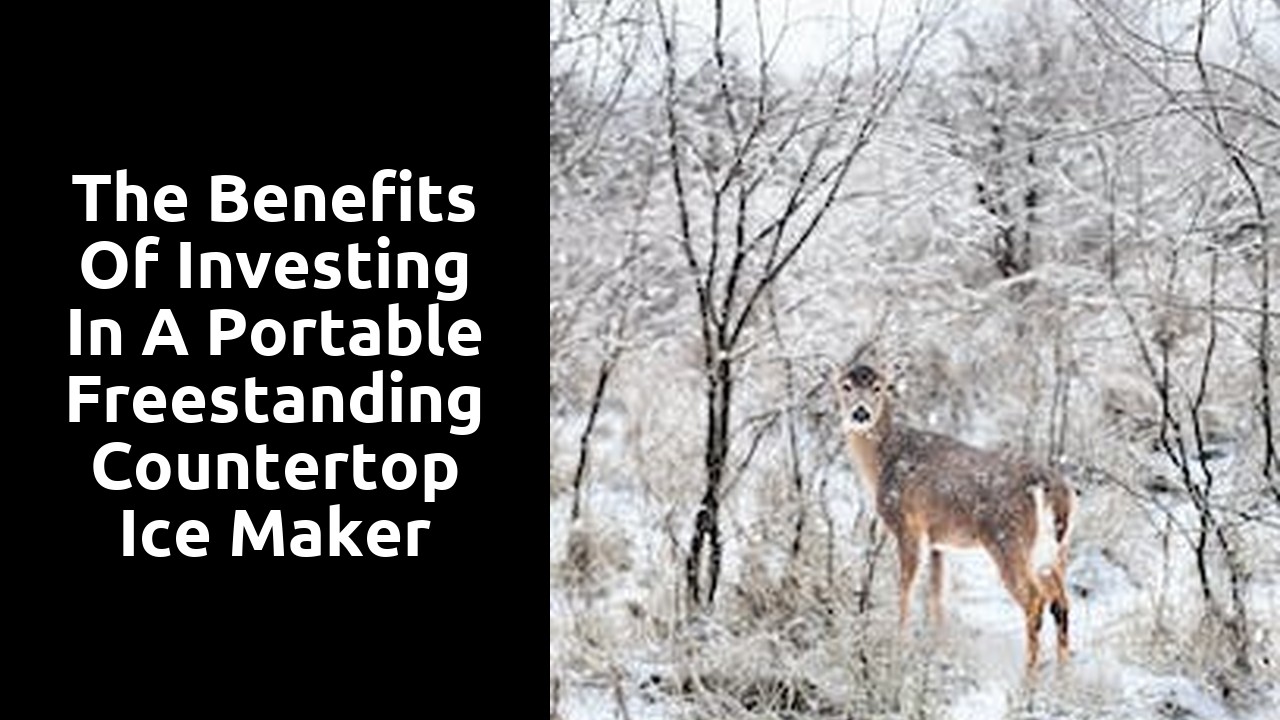 The Benefits of Investing in a Portable Freestanding Countertop Ice Maker