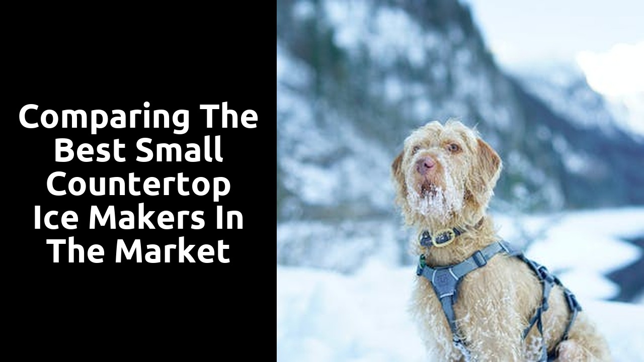 Comparing the Best Small Countertop Ice Makers in the Market