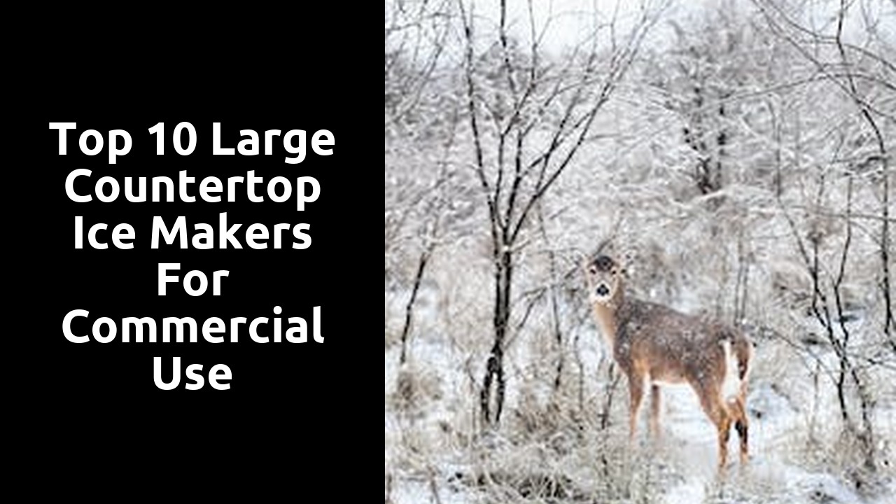 Top 10 Large Countertop Ice Makers for Commercial Use