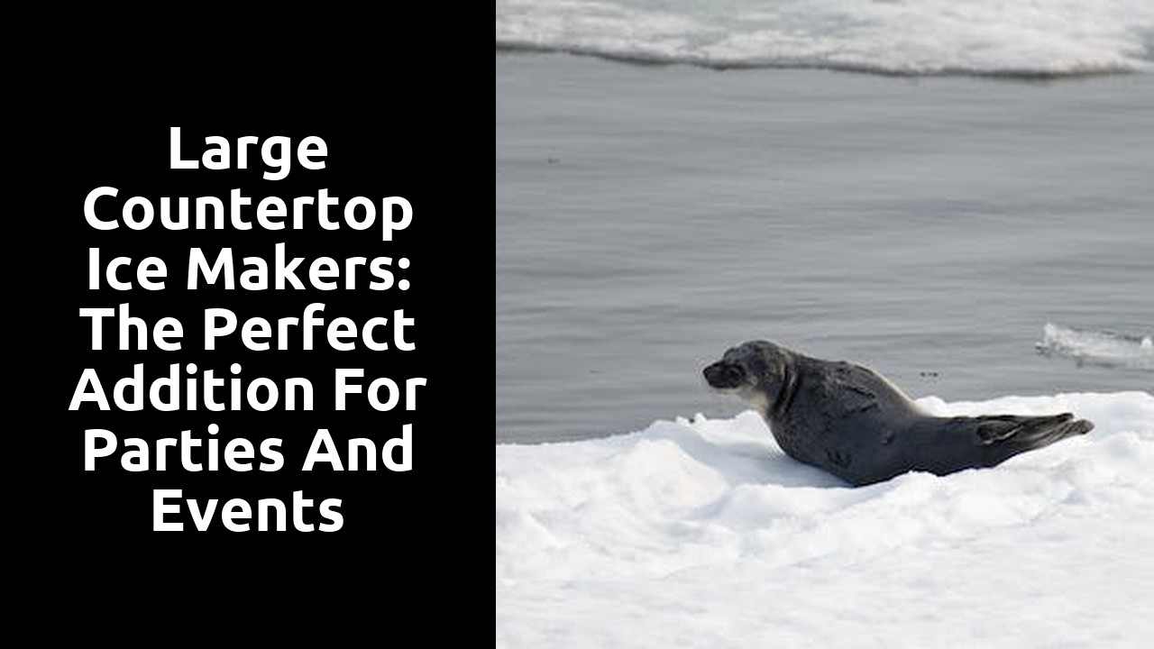 Large Countertop Ice Makers: The Perfect Addition for Parties and Events