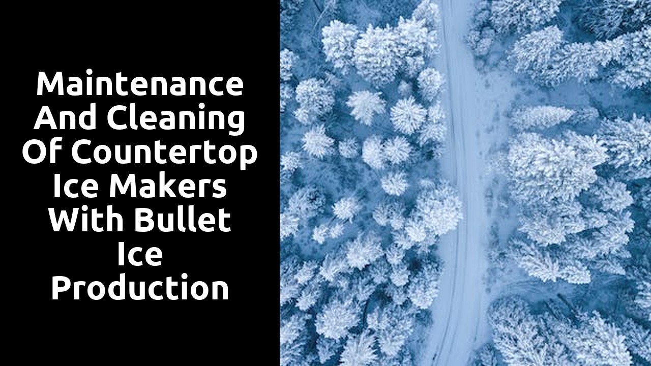 Maintenance and cleaning of countertop ice makers with bullet ice production
