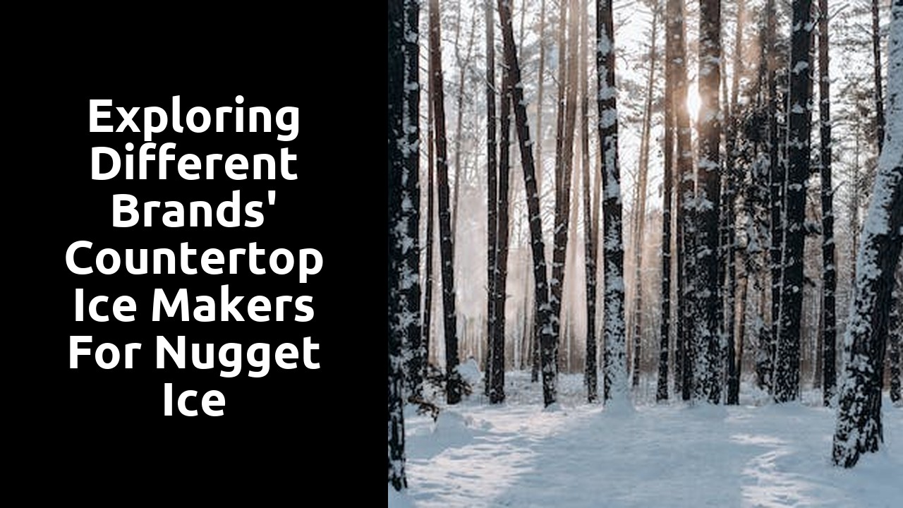 Exploring Different Brands' Countertop Ice Makers for Nugget Ice